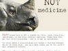 450px-indian-rhino