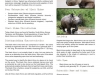 450px_blackrhinospecies