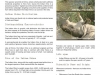 450px_indianrhinospecies