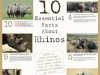 450px_rhinofactsposter