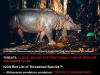 450px_small_javan_poster
