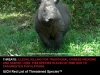450px_small_sumatran_poster