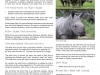 450px_whiterhinospecies